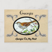 ヴィンテージスタイルの古いポストカード　ジョージア州 ポストカード (正面)