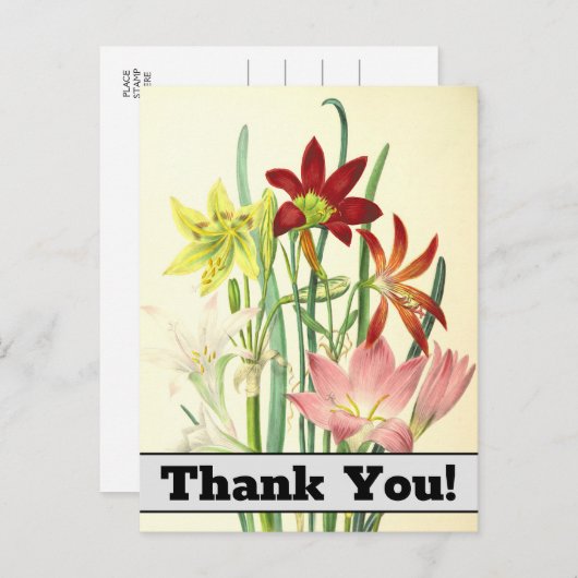 ヴィンテージスタイルの花の「ありがとう!」ポストカード ポストカード (正面/裏面)