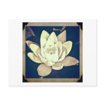ヴィンテージスタイルの蓮の花の写真ポストカード