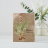 ヴィンテージスタイルの ビスタルトの花 ポストカード (スタンド正面)