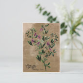 ヴィンテージスタイルアルファルファ ポストカード (スタンド正面)