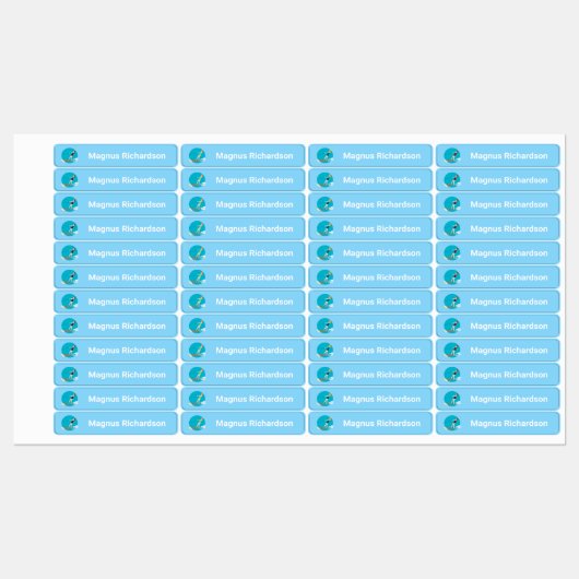 ヴィンテージスタイルウォータースキー ラベル (シート)