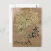 ヴィンテージスタイルエルダーベリー葉書 ポストカード (正面/裏面)