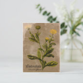 ヴィンテージスタイルカレンダーフラワーポストカード ポストカード (スタンド正面)