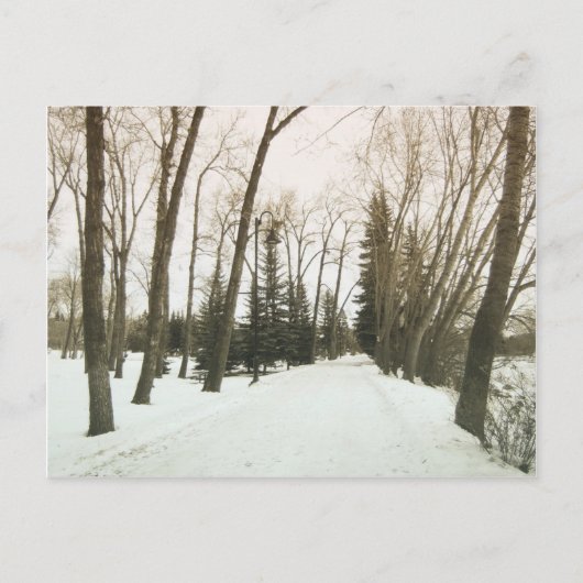 ヴィンテージスタイルカード – 冬の木 ポストカード (正面)