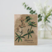 ヴィンテージスタイルクリーバーハーブポストカード ポストカード (スタンド正面)