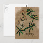 ヴィンテージスタイルクリーバーハーブポストカード ポストカード (正面/裏面)