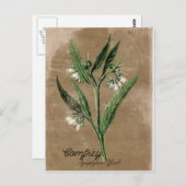 ヴィンテージスタイルコムフリー葉書 ポストカード (正面/裏面)