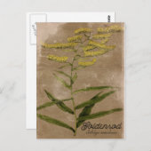 ヴィンテージスタイルゴールデンロッド花はがき ポストカード (正面/裏面)