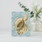 ヴィンテージスタイルシーシェル&ブルーレースポストカード ポストカード (スタンド正面)