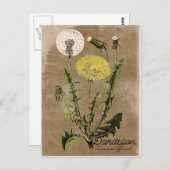 ヴィンテージスタイルタンデリオン葉書 ポストカード (正面/裏面)