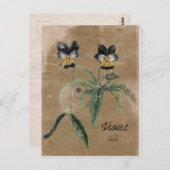 ヴィンテージスタイルバイオレットフラワーポストカード ポストカード (正面/裏面)