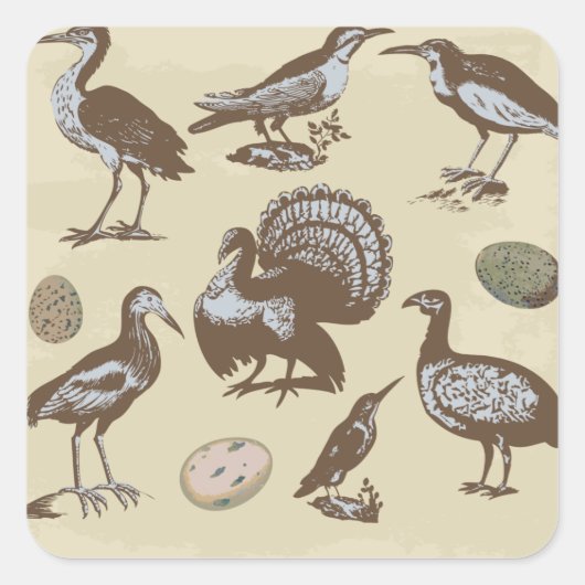 ヴィンテージスタイルバーズスクエアステッカー スクエアシール (正面)