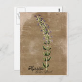 ヴィンテージスタイルヒソップポストカード ポストカード (正面/裏面)