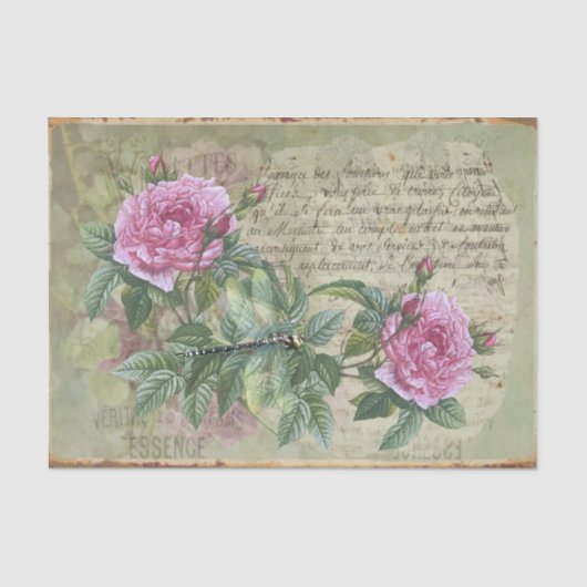 ヴィンテージスタイルピンクのバラ、昆虫とスクリプト 薄葉紙 (正面)