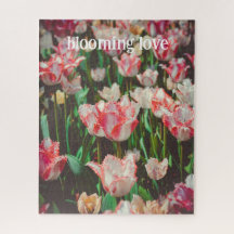 ヴィンテージスタイルピンクの縁付きチューリップ