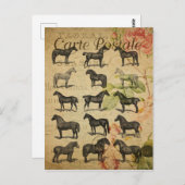ヴィンテージスタイルブラックウマフランスのーズカルテポサーレ ポストカード (正面/裏面)