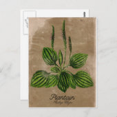 ヴィンテージスタイルプラテンポストカード ポストカード (正面/裏面)