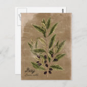 ヴィンテージスタイルベイハーブ ポストカード (正面/裏面)