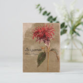 ヴィンテージスタイルベルガモット植物花 ポストカード (スタンド正面)