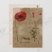 ヴィンテージスタイルポピー花ポストカード ポストカード (正面/裏面)