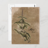 ヴィンテージスタイルミントハーブポストカード ポストカード (正面/裏面)