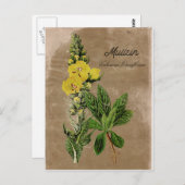 ヴィンテージスタイルムレイン葉書 ポストカード (正面/裏面)