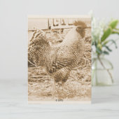 ヴィンテージスタイルロスター写真 招待状 (スタンド正面)