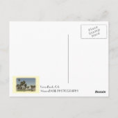 ヴィンテージスタイルヴェネツィアビーチはがき！ ポストカード (裏面)