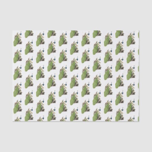 ヴィンテージスタイル化ピーコックオンザブランチ 薄葉紙 (正面)