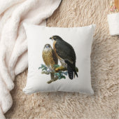 ヴィンテージスタイル化《鳥》ハヤブサオンブランチ クッション (ブランケット)