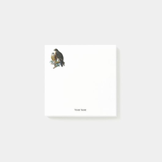 ヴィンテージスタイル化《鳥》ハヤブサオンブランチ ポストイット (正面)