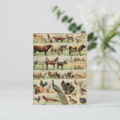 ヴィンテージスタイル家畜 ポストカード (スタンド正面)