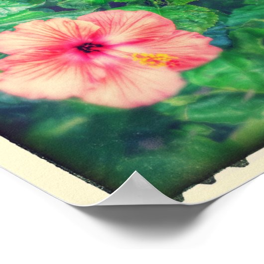 ヴィンテージスタイル熱帯ハイビスカスフラワー ポスター (角)