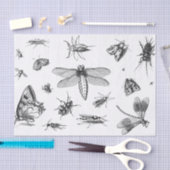 ヴィンテージスタイル白黒虫コラージュPt 1 薄葉紙 (クラフト)