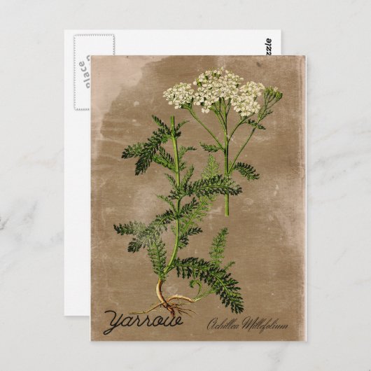 ヴィンテージスタイル矢印はがき ポストカード (正面/裏面)