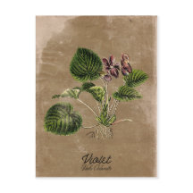 ヴィンテージスタイル紫はがき