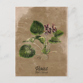 ヴィンテージスタイル紫はがき ポストカード