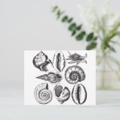 ヴィンテージスタイル貝の貝殻は白黒 ポストカード (スタンド正面)