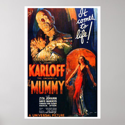 ヴィンテージスタイル モンスター映画ポスター ミイラ ポスター (正面)
