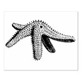 ヴィンテージスターフィッシュゴムアートスタンプ ラバースタンプ (インプリント)