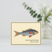 ヴィンテージストライプのブルー金頭魚絵画ズ ポストカード (スタンド正面)