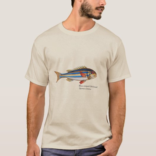 ヴィンテージストライプのブルー金頭魚絵画ズ Tシャツ (正面)