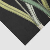 ヴィンテージスノードロップフラワーブラック春 薄葉紙 (詳細)