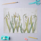 ヴィンテージスノードロップフラワーブルーパーチメント春 薄葉紙 (クラフト)