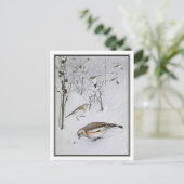 ヴィンテージスノーバンティング – Robert Bruce Horsfall ポストカード (スタンド正面)