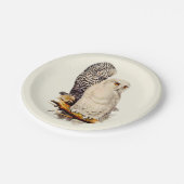 ヴィンテージスノーフクロウスケッチ ペーパープレート (アングル)