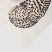 ヴィンテージスノーフクロウスケッチ 薄葉紙 (詳細)