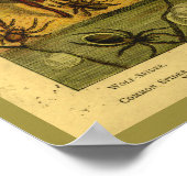 ヴィンテージスパイダースタランチュラ自然史プリント ポスター (角)