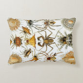 ヴィンテージスパイダーズまたはアラクナイズバイエルンスト・ヘッケル アクセントクッション (正面)